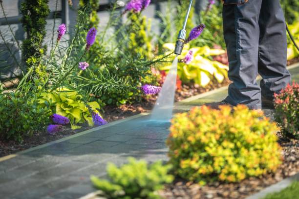 Best Deck and Patio Pressure Washing in Bay City, TX