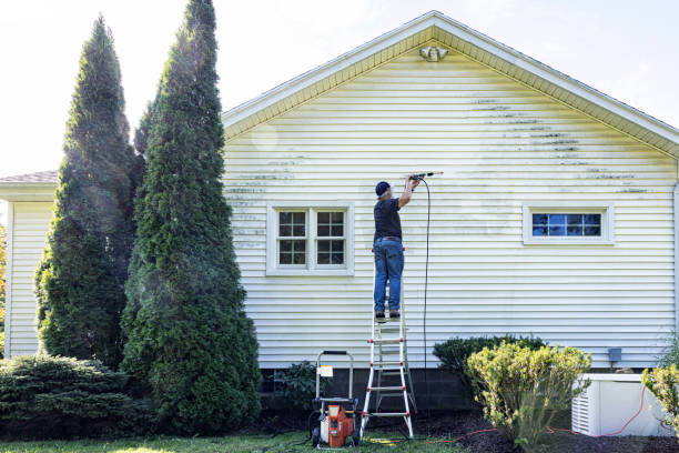 Trusted Bay City, TX Pressure Washing Services Experts
